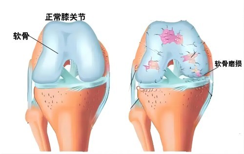 图片 2.jpg