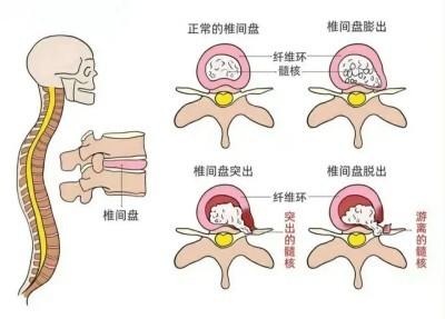 图片 2.jpg